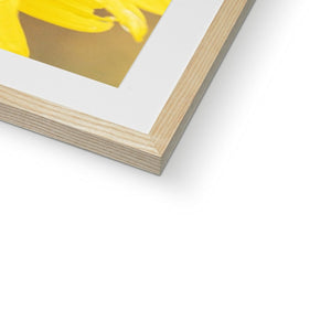 Sun Flower 2