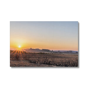 Burnt heath sunset