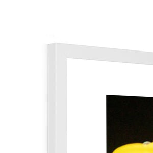 Sun Flower 2