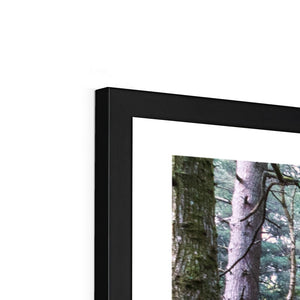 Tranquil autumn woodland