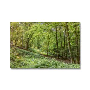 Springtime valley