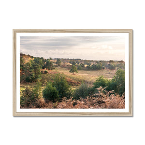 Autumn forest landscape