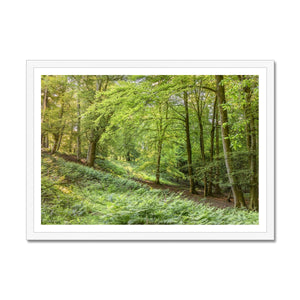 Springtime valley