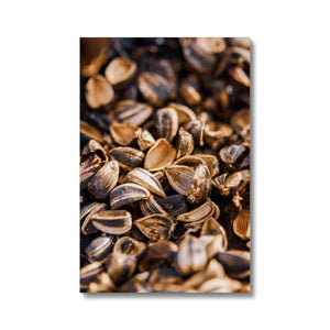 Sun Flower seeds shells 3