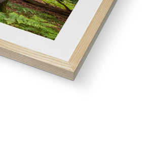 Green forest landscape