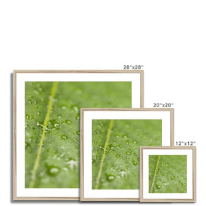 Leaf droplets 2