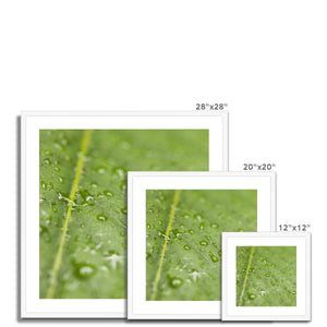Leaf droplets 2