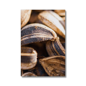 Sun Flower seeds shells