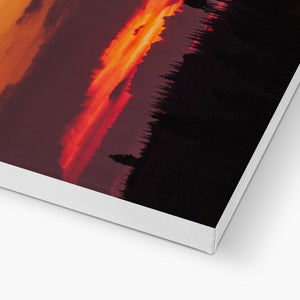 Forest Sunset