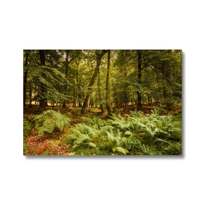 Fern view