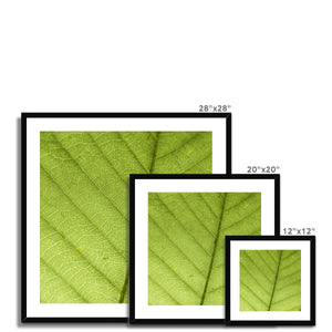 Leaf fractal