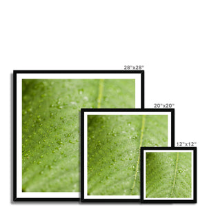 Leaf droplets