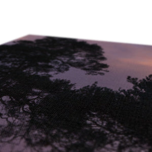 Sunset silhouette