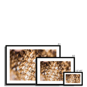 Sun Flower seeds 3