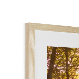 In the Shadow of Trees