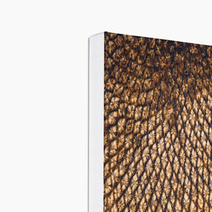 Sun Flower seed pattern