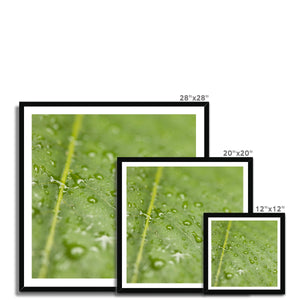 Leaf droplets 2
