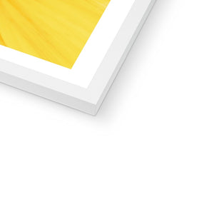 Sun flower 1