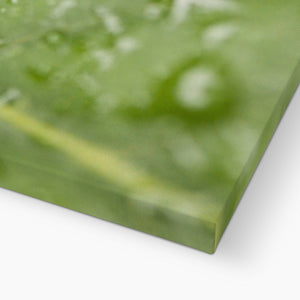 Leaf droplets 2