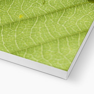 Leaf fractal