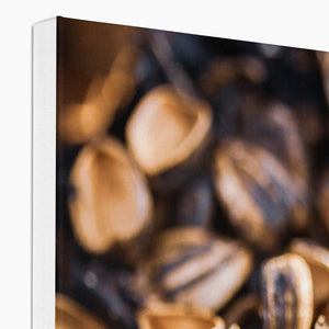 Sun Flower seeds shells 3