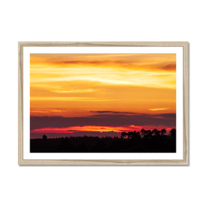 Forest Sunset