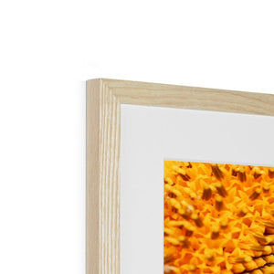 Sun flower 1
