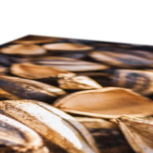 Sun Flower seeds shells 3
