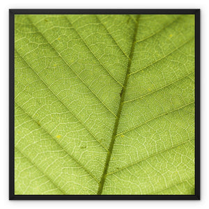 Leaf fractal