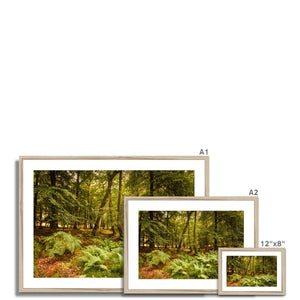 Fern view