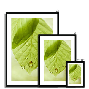 Leaf droplets 5