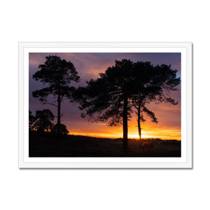 Sunset silhouette