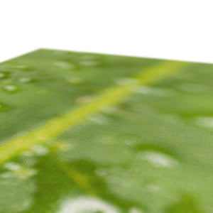 Leaf droplets 2