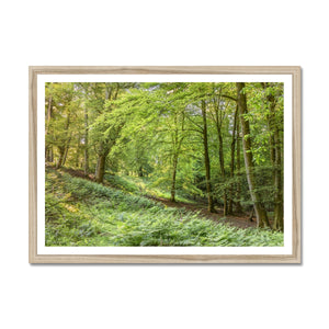 Springtime valley