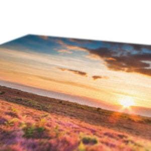 Heather Sunset