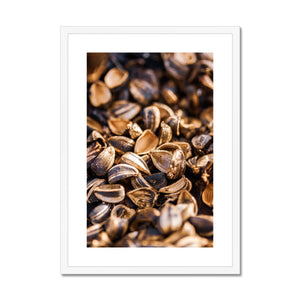 Sun Flower seeds shells 3