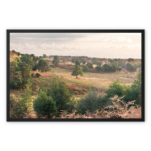 Autumn forest landscape