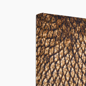 Sun Flower seed pattern