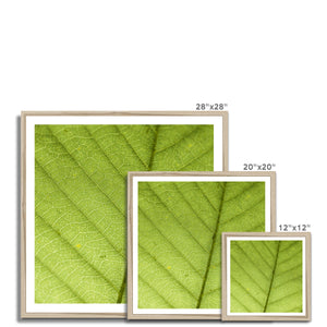 Leaf fractal