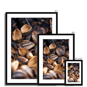 Sun Flower seeds shells 2