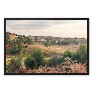 Autumn forest landscape