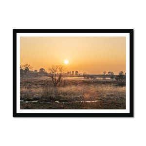 Sun reeds