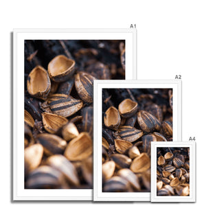 Sun Flower seeds shells 2