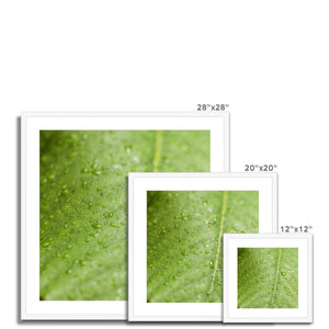 Leaf droplets