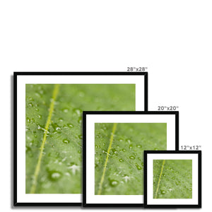 Leaf droplets 2