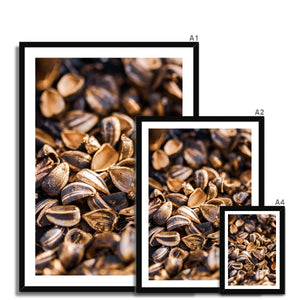 Sun Flower seeds shells 3