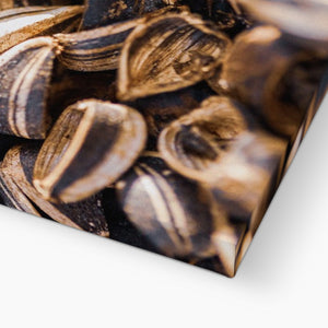 Sun Flower seeds shells 3