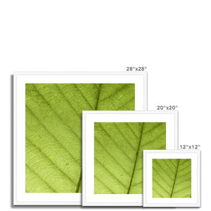 Leaf fractal