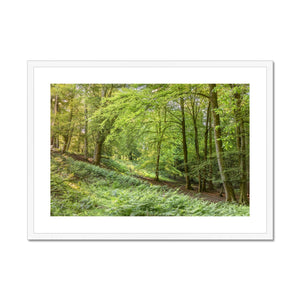 Springtime valley