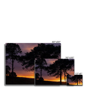 Sunset silhouette